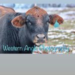 Taylor Belcher - @western_angle_photograpy - Instagram