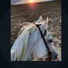 taylor benally - @t.benally86 - TikTok