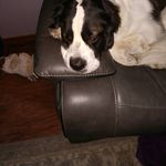 Taylor Bentz - @dogs0000000 - Instagram