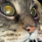 Taylor Bergermann - @taylorbergermann - Instagram