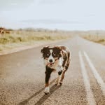 Taylor Bergeson - @taylorbergeson444 - Instagram