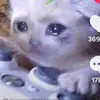 user8483112008898 - @taylorbergemann - TikTok