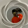 Taylorbergmann6378 - @taylorbergmann6378 - TikTok