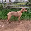 Taylor Biddle - @taylor.biddle1 - TikTok