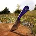 Dalton Taylor blades - Facebook