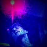 Taylor .E. Blades - @jerald_surname - Instagram