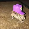 Taylor Blasko - @taylorblasko69 - TikTok