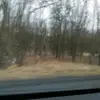 Taylor - @taylor.blume - TikTok