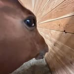Taylor Blyth - @xelli_boi - Instagram