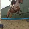 Taylor Bond - @bondy00703 - TikTok