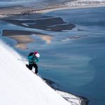 Taylor Bones - @freeheelingmakesmegiggles - Instagram