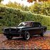 Taylor Boswell - Facebook