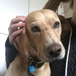 Taylor Bowden - @bowden7161 - Instagram
