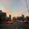 taylorbowden9 - @taylorbowden9 - TikTok