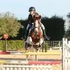 Taylor Bremner - @taylor_willow_eq - TikTok