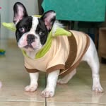 Bruce Taylor - @brucezrtaylor57267 - Instagram