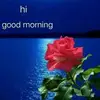 Zerina_Abbas - @taylor.carper32 - TikTok