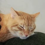 taylor casper - @hey12_6976 - Instagram
