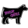 Taylor Cattle - @taylorcattlemn - TikTok