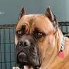 taylorcatt - @taylorcatt1 - TikTok