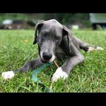 Jaidyn Taylor Chumley - @jaidynchumley2008 - Instagram