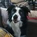 Taylor Clements - Facebook