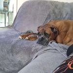 Taylor Cooke - @taylor20102022 - Instagram