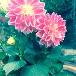 Jett Taylor-crabtree - @j3tt_t4y10r - Instagram