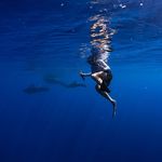 Taylor Crabtree - @tcrab - Instagram