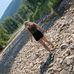 Taylor Cromwell - Facebook
