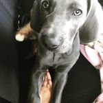 Taylor Cullen - @taylor_cullen_123 - Instagram