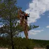 Daniel Taylor - @danieltaylor.61 - TikTok