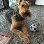 Taylor Dees - @bigdogtd1 - Instagram