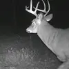 Taylordiemel - @travisdiemel - TikTok