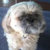 Taylor Dietrich - @taylordietrich2 - TikTok