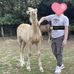 Taylor Doak-dunelly - Facebook