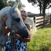 Cheryl Taylor Doane - @cheryl.taylor.doa - TikTok