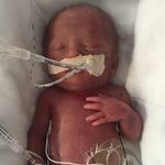Benjamin Taylor Dowse - @benjamintaylordowse - Instagram