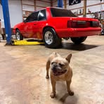 Taylor Driver - Facebook