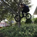 Taylor Dunham - @taylordunhambmx - Instagram
