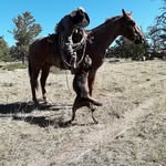 Taylor Dunlap - @taylordunlap45 - Instagram