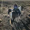 Taylor - @taylor.earley - TikTok