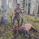 Taylor Echols - @danburgbuilder - Instagram