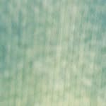 Taylor - @taylor_eggers_ - Instagram