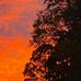 Taylor Eilers - Facebook