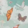 user6364507276936 - @taylorfelder1 - TikTok