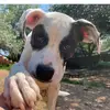 Taylor - @taylor.fleck - TikTok