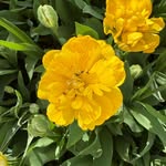 FLINT - @flint_taylor_ - Instagram