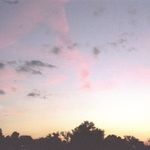 Taylor Flint - @film.by.taylor - Instagram