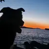 Taylor Flint - @taylor.flint - TikTok